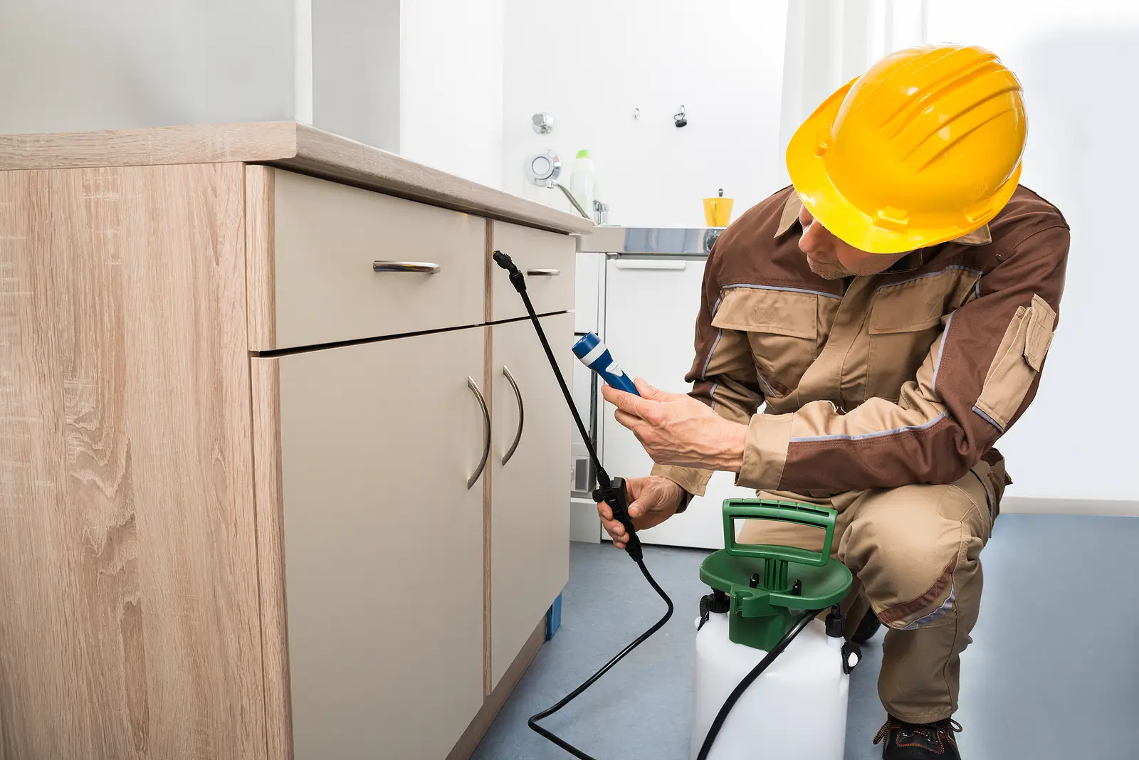 How to Keep Your Rental Property Free from Pest Infestations (Without Overspending)